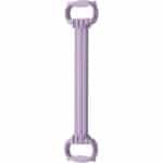 Krachtbanden Set - Fitness Touwen - Thuis Krachttraining - 6 Versnellingen Instelbaar - 60cm Lengte - Paars