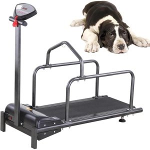 Loopband voor Huisdieren - Hondentrainer Fitness - Binnen Trainen - Stille Krachtige Motor - 80 kg Belasting
