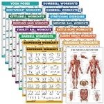 Oefening Poster Set 16 Delig voor Krachttraining en Fitness - Gelamineerd 18" x 24"