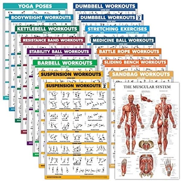 Oefening Poster Set 16 Delig voor Krachttraining en Fitness - Gelamineerd 18" x 24"