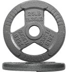Olympische Halterschijven - Gewichtsschijven Krachttraining - Thuis Fitness - Gietijzer Robuust Ontwerp - 51 cm Opening - Grijs