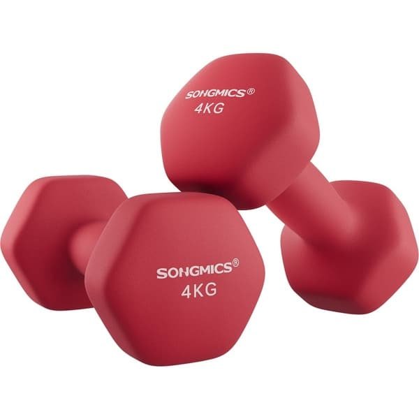 SONGMICS Halters, set van 2, halterset, korte halters, hexagon, neopreen coating, krachttraining, workout, fitnesstraining, voor thuis, 2X4KG