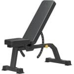 Verstelbare Halterbank voor Krachttraining, Incline en Platte Fitness Bank