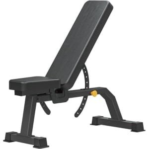 Verstelbare Halterbank voor Krachttraining, Incline en Platte Fitness Bank