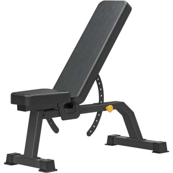 Verstelbare Halterbank voor Krachttraining, Incline en Platte Fitness Bank