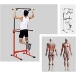 Verstelbare Optrekstang Trainingstoestel voor Krachttraining Thuis