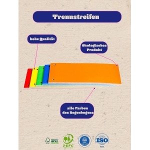 Verstelbare Trainingsbank voor Fitness, Krachttraining en Buikspieroefeningen