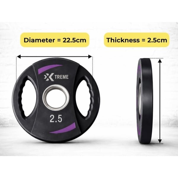 Xtreme Fitness 2.5 kg Halterschijven (set) met Handgrepen - Gewichtsschijven 2 stuks - Halter Gewichten - Fitness Schijven - Krachttraining - Home Gym - Barbell Plates - Gewichten