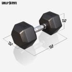 ZesZijdige Dumbbell Halter Gewichten 2 tot 50 kg Gietijzer Rubber Fitness Krachttraining