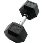 Zeshendige Halter 12,5 kg voor Krachttraining