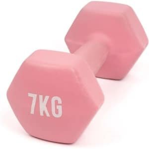 Zeshoekige Halter met Neopreen Buitenkant voor Krachttraining en Fitness
