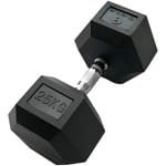 Zeshoekige Halter van 25 KG voor Krachttraining