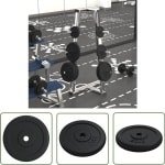 vidaXL Gewichtschijf - Halterschijf - Halterschijf 20 kg gietijzer - Ijzerschiif - Krachttraining - Bodybuilding
