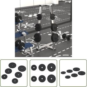 vidaXL Halterschijven - Gewichtsschiven - Halterschijven 6 st 30 kg gietijzer - Ijzerschijven - Home Gym - Krachttraining